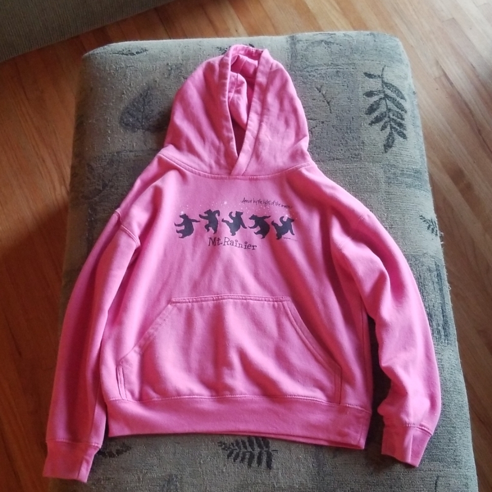 Mt. Rainier hoodie!